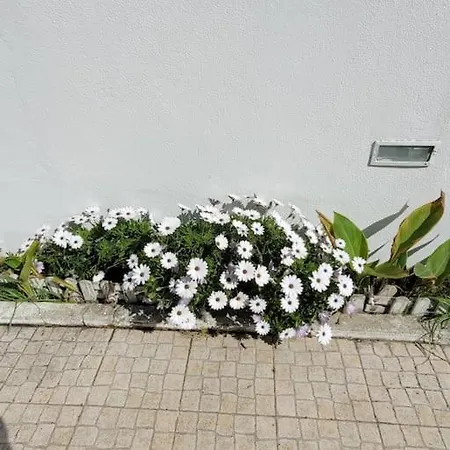 펜션 And Surf House